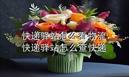 快递驿站怎么看物流,快递驿站怎么查快递