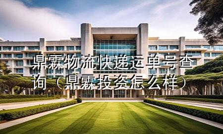 鼎霖物流快递运单号查询(鼎霖投资怎么样)