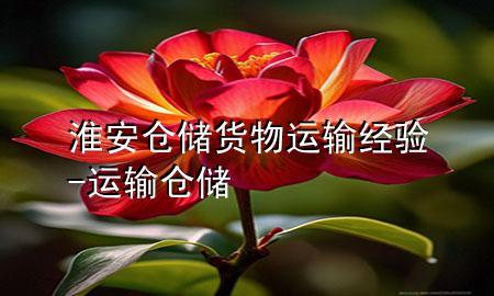 淮安仓储货物运输经验-运输 仓储