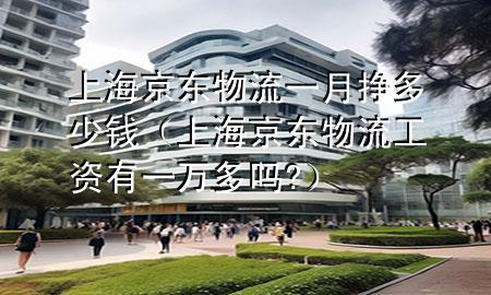 上海京东物流一月挣多少钱(上海京东物流工资有一万多吗?)
