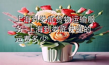 上海到娄底货物运输服务-上海到娄底快递的运费多少