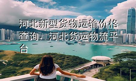 河北新型货物运输价格查询，河北货运物流平台