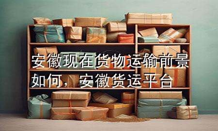 安徽现在货物运输前景如何,安徽货运平台