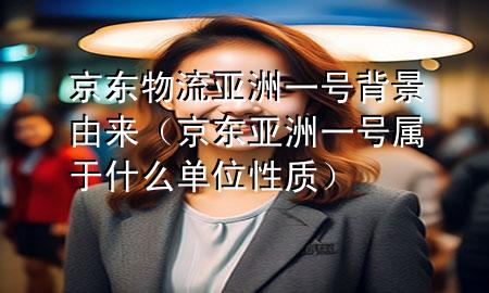 京东物流亚洲一号背景由来(京东亚洲一号属于什么单位性质)