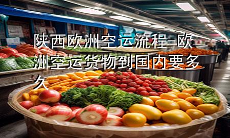 陕西欧洲空运流程-欧洲空运货物到国内要多久