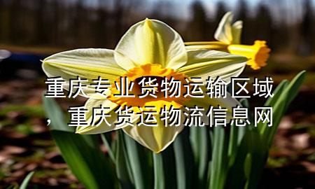 重庆专业货物运输区域,重庆货运物流信息网