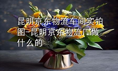 昆明京东物流车间实拍图-昆明京东物流厂做什么的