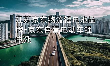 江苏京东物流锂电池品牌-京东自营电动车锂电池