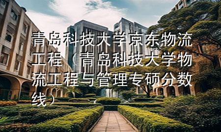 青岛科技大学京东物流工程(青岛科技大学物流工程与管理专硕分数线)