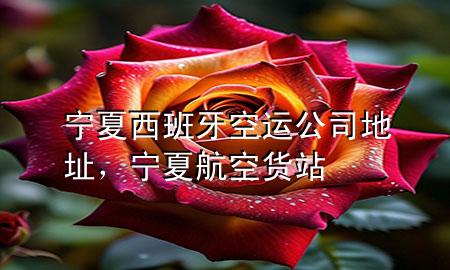 宁夏西班牙空运公司地址，宁夏航空货站