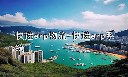 快递erp物流-快递erp系统
