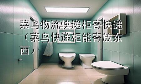 菜鸟物流快递柜寄快递（菜鸟快递柜能寄放东西）