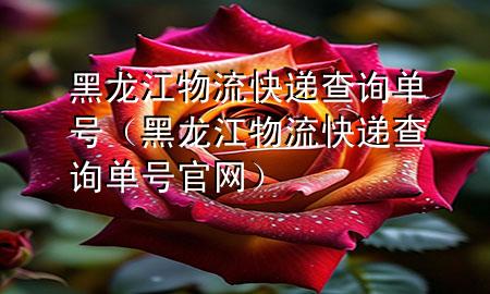 黑龙江物流快递查询单号（黑龙江物流快递查询单号官网）
