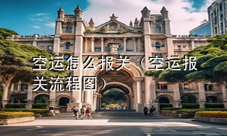 空运怎么报关（空运报关流程图）