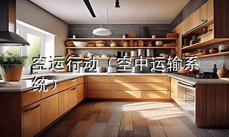 空运行动（空中运输系统）