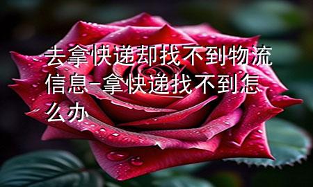 去拿快递却找不到物流信息-拿快递找不到怎么办