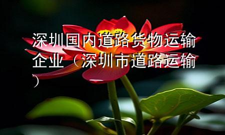 深圳国内道路货物运输企业(深圳市道路运输)