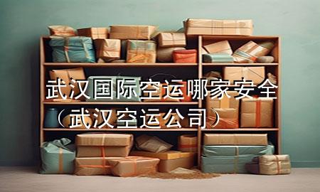 武汉国际空运哪家安全（武汉空运公司）