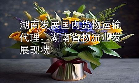 湖南发展国内货物运输代理,湖南省物流业发展现状