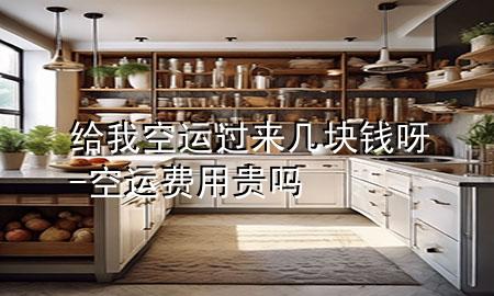 给我空运过来几块钱呀-空运费用贵吗