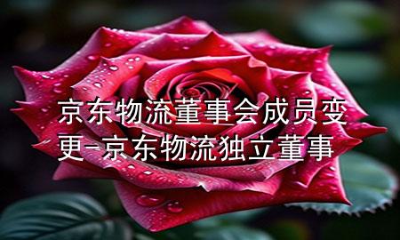 京东物流董事会成员变更-京东物流独立董事