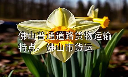 佛山普通道路货物运输特点，佛山市货运