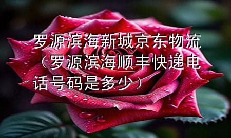 罗源滨海新城京东物流(罗源滨海顺丰快递电话号码是多少)