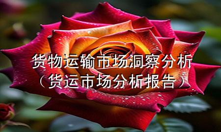 货物运输市场洞察分析(货运市场分析报告)