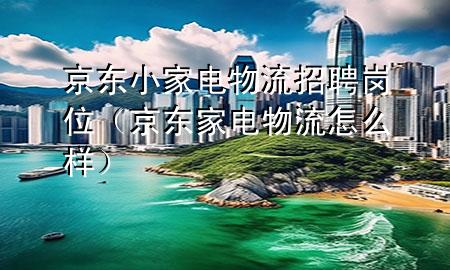 京东小家电物流招聘岗位(京东家电物流怎么样)