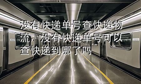 没有快递单号查快递物流，没有快递单号可以查快递到哪了吗