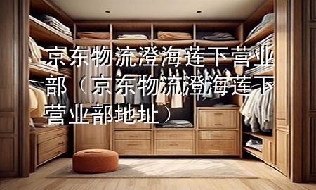 京东物流澄海莲下营业部(京东物流澄海莲下营业部地址)