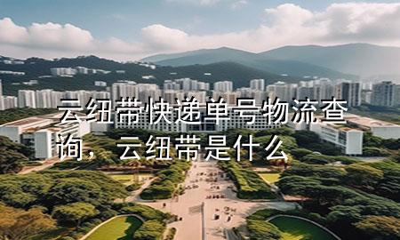 云纽带快递单号物流查询，云纽带是什么