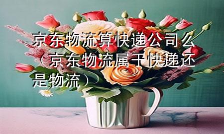 京东物流算快递公司么（京东物流属于快递还是物流）