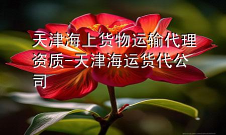 天津海上货物运输代理资质-天津海运货代公司
