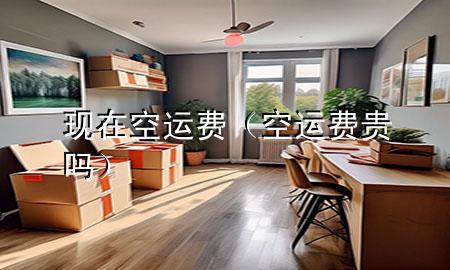 现在空运费（空运费贵吗）