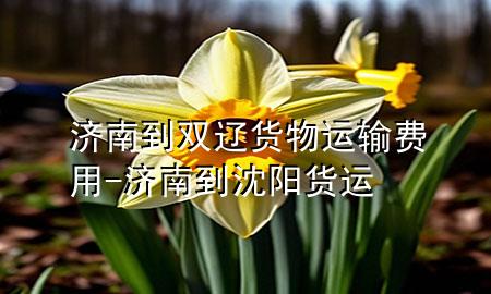济南到双辽货物运输费用-济南到沈阳货运