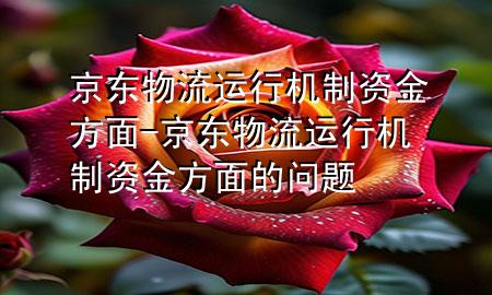 京东物流运行机制资金方面-京东物流运行机制资金方面的问题