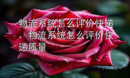 物流系统怎么评价快递,物流系统怎么评价快递质量