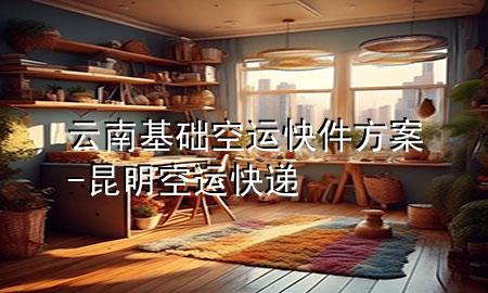 云南基础空运快件方案-昆明空运快递