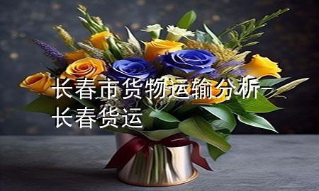 长春市货物运输分析-长春 货运
