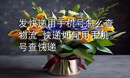 发快递用手机号怎么查物流-快递如何用手机号查快递