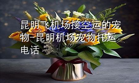 昆明飞机场接空运的宠物-昆明机场宠物托运电话