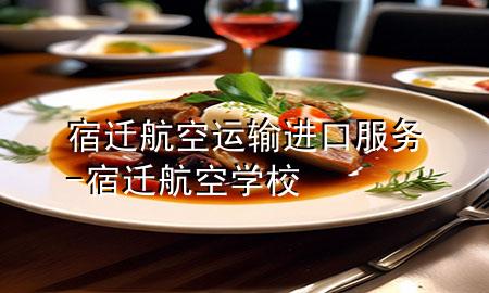 宿迁航空运输进口服务-宿迁航空学校