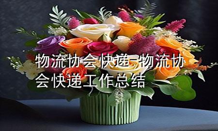 物流协会快递-物流协会快递工作总结