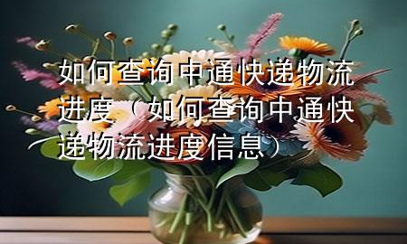 如何查询中通快递物流进度（如何查询中通快递物流进度信息）