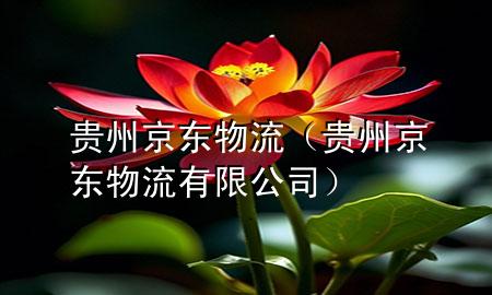 贵州京东物流(贵州京东物流有限公司)