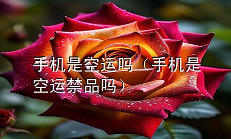 手机是空运吗（手机是空运禁品吗）