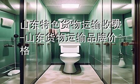 山东特色货物运输收费-山东货物运输品牌价格