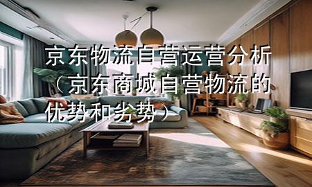 京东物流自营运营分析(京东商城自营物流的优势和劣势)