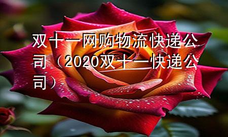 双十一网购物流快递公司（2020双十一快递公司）